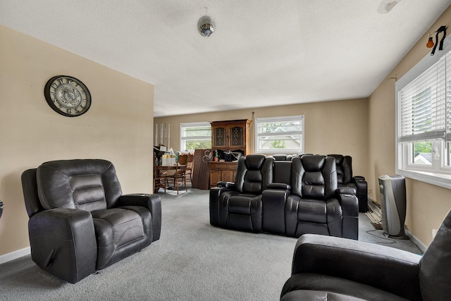 view of carpeted living area