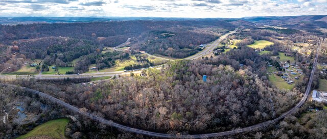 1085 Rhea County Hwy, Dayton, TN 37321 - photo 7