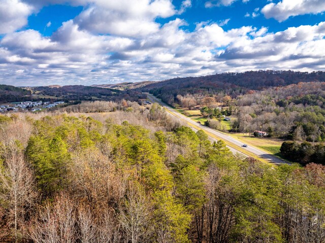 1085 Rhea County Hwy, Dayton, TN 37321 - photo 9
