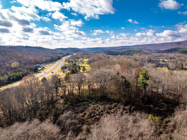 1085 Rhea County Hwy, Dayton, TN 37321 - photo 10