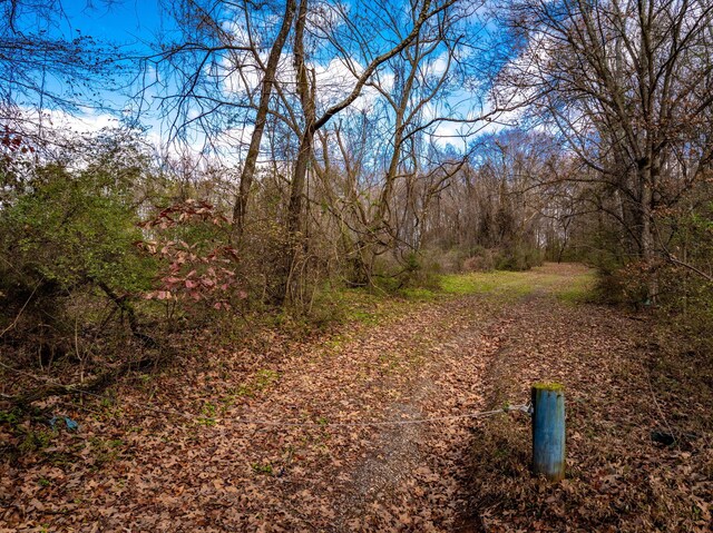 1085 Rhea County Hwy, Dayton, TN 37321 - photo 12