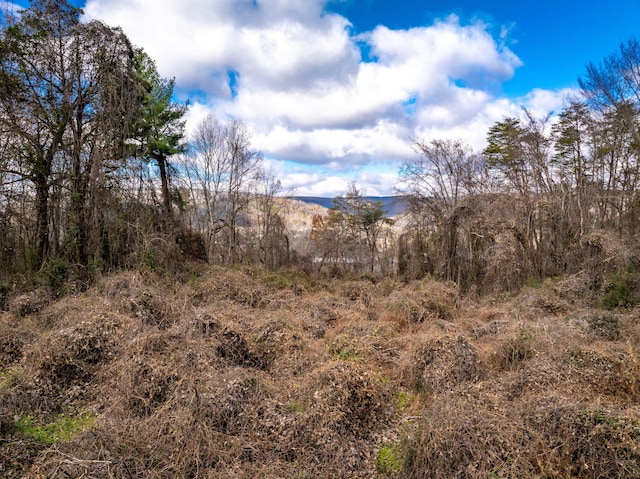 1085 Rhea County Hwy, Dayton, TN 37321 - photo 14