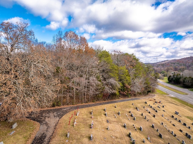 1085 Rhea County Hwy, Dayton, TN 37321 - photo 15