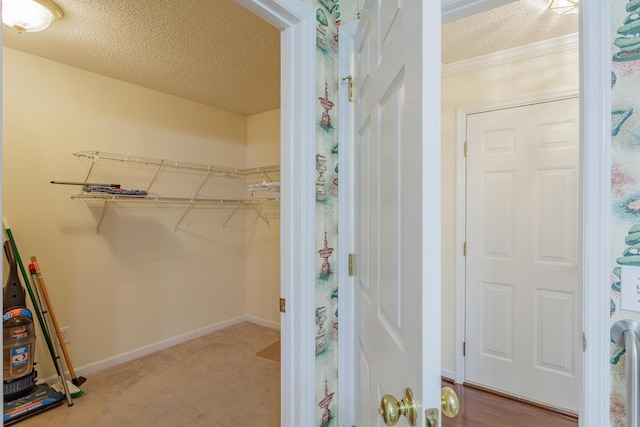 walk in closet featuring carpet floors