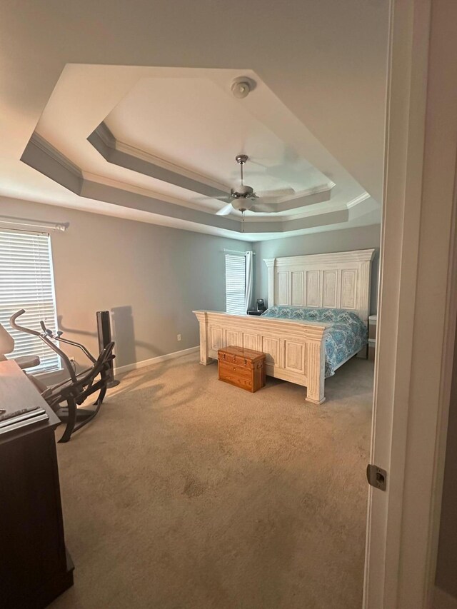 6180 Oilskin Dr, Ooltewah, TN 37363 - bedroom featuring a tray ceiling, carpet floors, multiple windows, crown molding, and baseboards