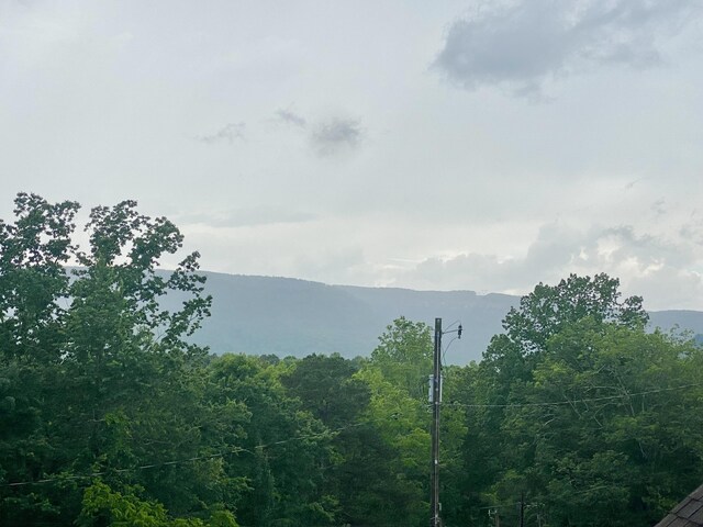 431 Benton Ln, Soddy Daisy, TN 37379 - photo 21