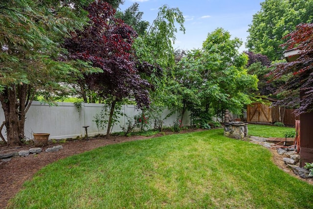 view of yard