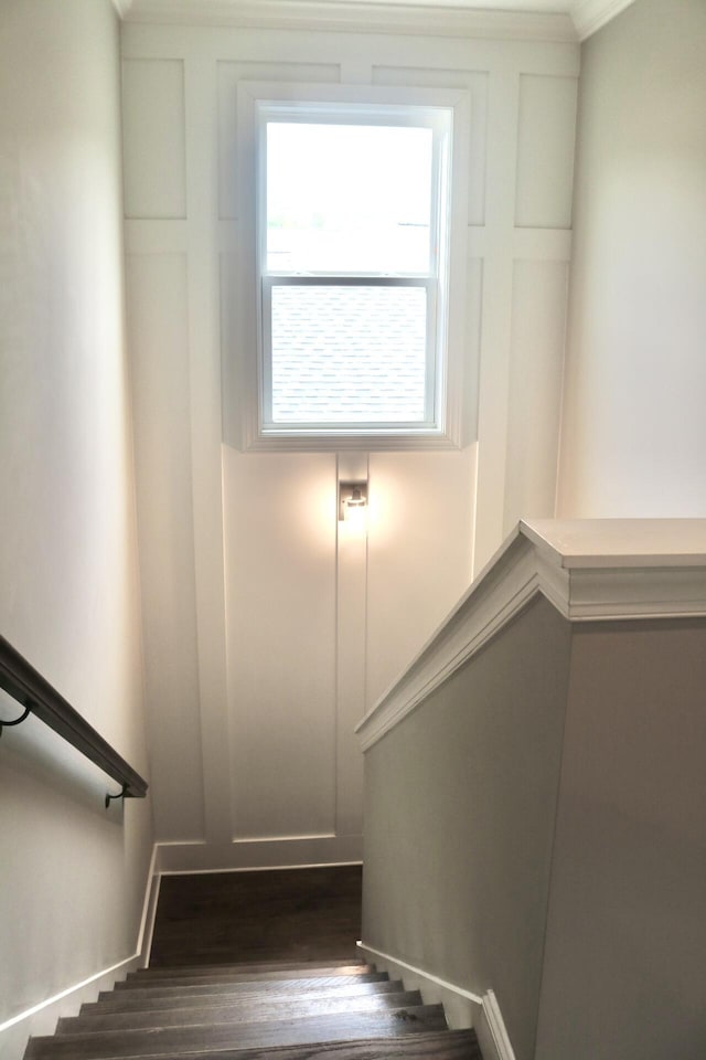 stairs featuring wood finished floors