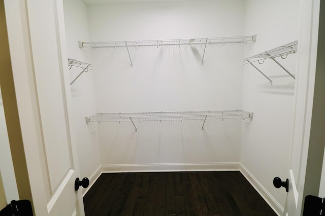 spacious closet with dark wood-type flooring