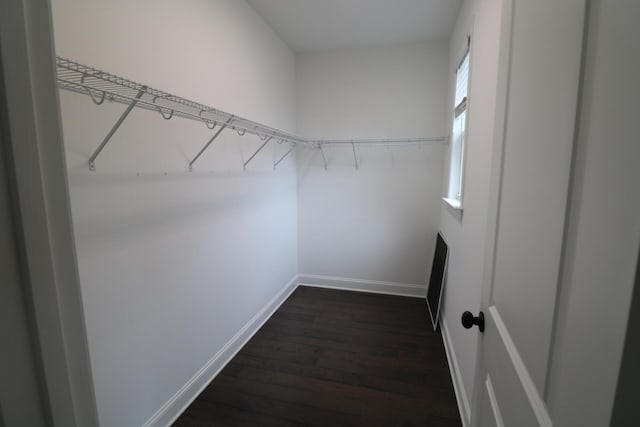 walk in closet with dark wood finished floors