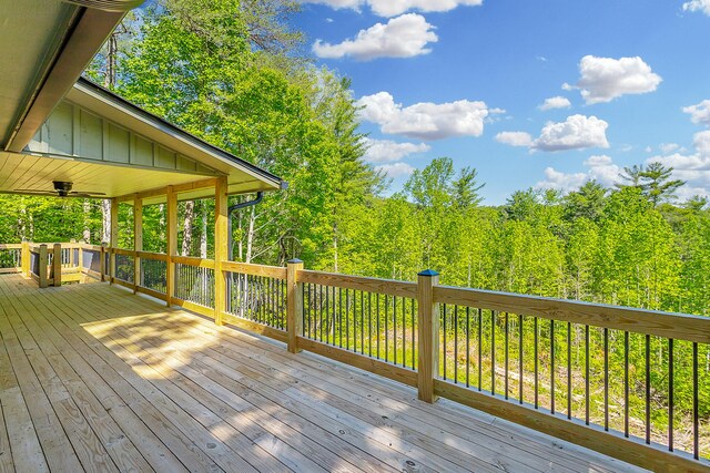 594 Shawnee Trl, Chatsworth, GA 30705 - photo 68
