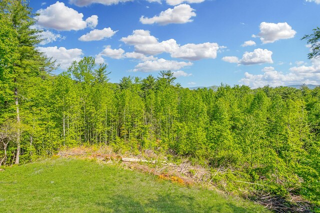 594 Shawnee Trl, Chatsworth, GA 30705 - photo 70