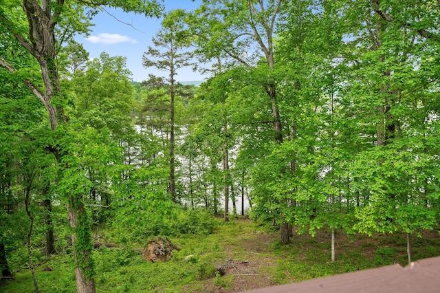 15033 Log Cabin Ln, Soddy Daisy, TN 37379 - view of tree filled area