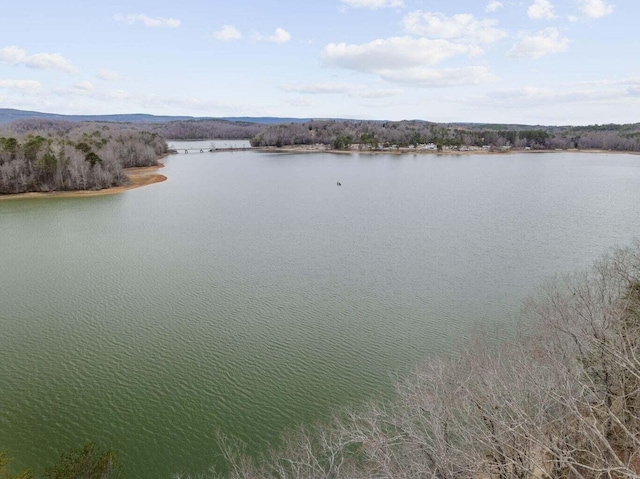 15033 Log Cabin Ln, Soddy Daisy, TN 37379 - water view
