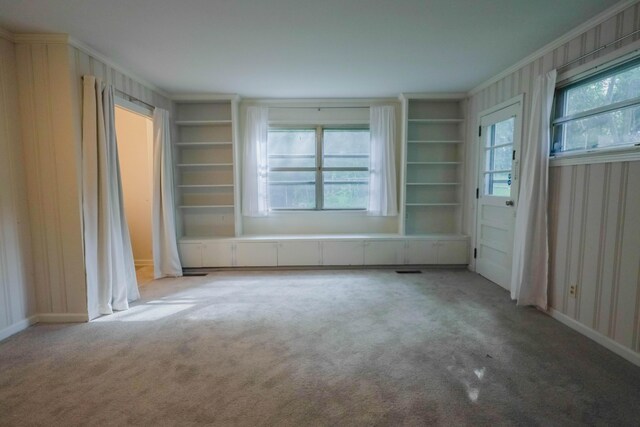 3703 Chula Vista Dr, Chattanooga, TN 37411 - spare room with carpet floors, built in features, baseboards, and ornamental molding