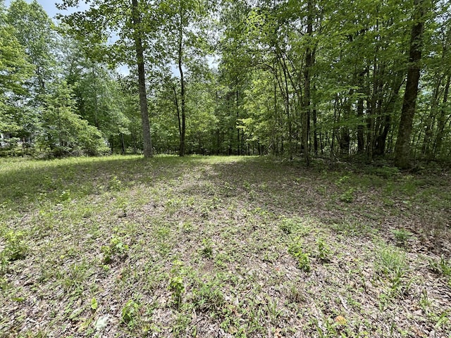 2795 Raulston Falls Rd Unit Jf-5, Jasper, TN 37347