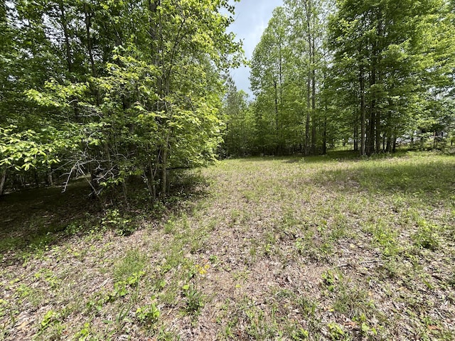 2795 Raulston Falls Rd Unit Jf-5, Jasper, TN 37347