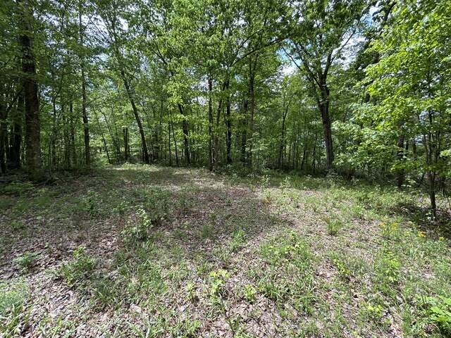 2795 Raulston Falls Rd Unit Jf-5, Jasper, TN 37347