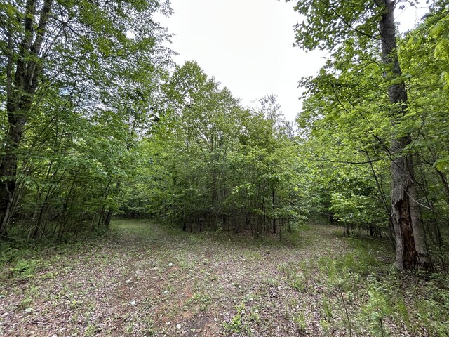 2795 Raulston Falls Rd Unit Jf-5, Jasper, TN 37347