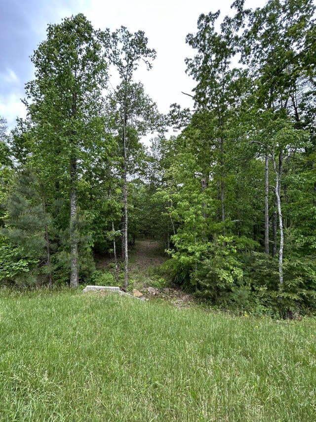 2795 Raulston Falls Rd Unit Jf-5, Jasper, TN 37347