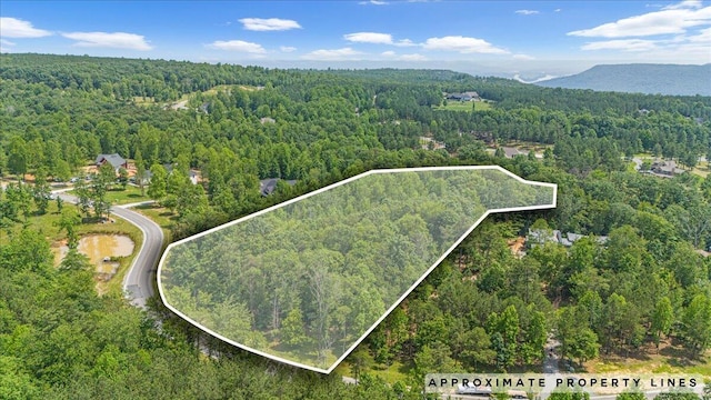2795 Raulston Falls Rd Unit Jf-5, Jasper, TN 37347 - photo 1