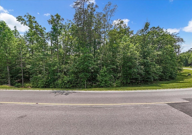 2795 Raulston Falls Rd Unit Jf-5, Jasper, TN 37347 - photo 4