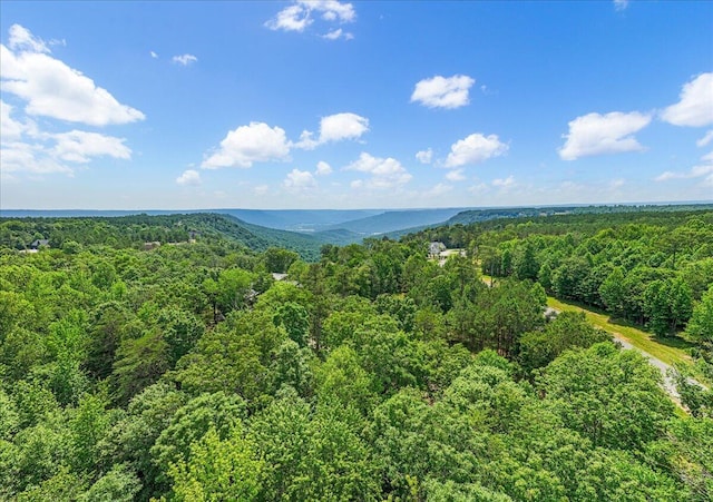 2795 Raulston Falls Rd Unit Jf-5, Jasper, TN 37347 - photo 5