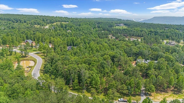 2795 Raulston Falls Rd Unit Jf-5, Jasper, TN 37347 - photo 8