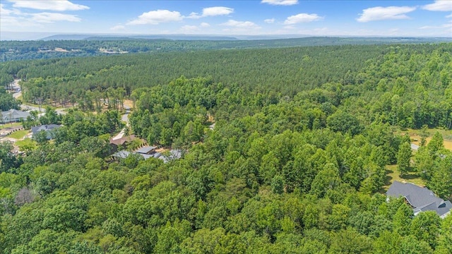 2795 Raulston Falls Rd Unit Jf-5, Jasper, TN 37347 - photo 11