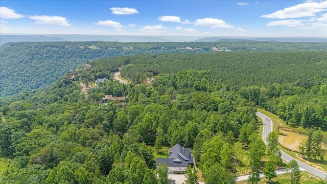 2795 Raulston Falls Rd Unit Jf-5, Jasper, TN 37347 - photo 13