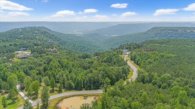 2795 Raulston Falls Rd Unit Jf-5, Jasper, TN 37347 - photo 14