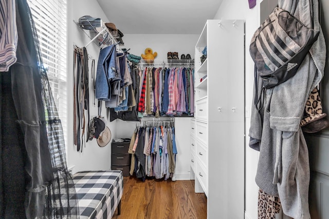 7983 Chianti Way, Chattanooga, TN 37421 - walk in closet featuring wood finished floors