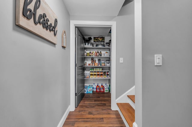 7983 Chianti Way, Chattanooga, TN 37421 - view of pantry