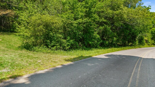 00 County Road 62, Riceville, TN 37370