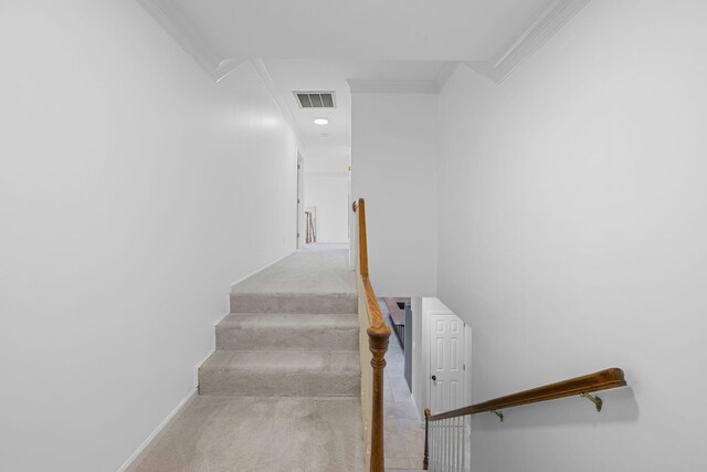 9416 Royal Mountain Dr, Chattanooga, TN 37421 - stairway featuring ornamental molding, carpet floors, baseboards, and attic access