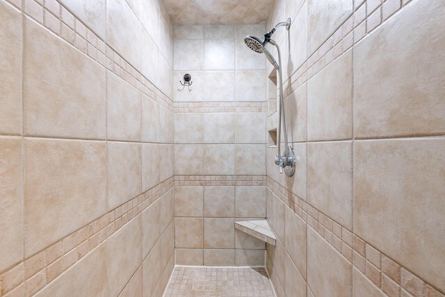 9416 Royal Mountain Dr, Chattanooga, TN 37421 - bathroom view of tiled shower and pet washing area