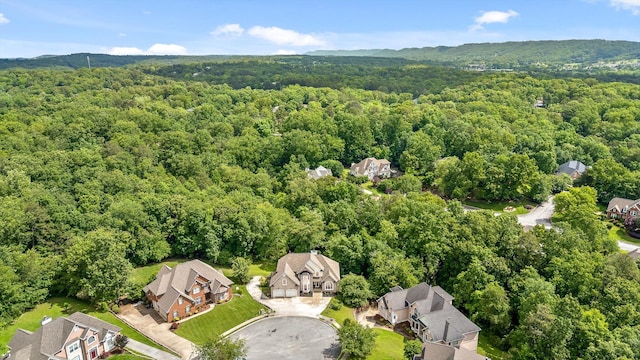 aerial perspective of suburban area with a forest