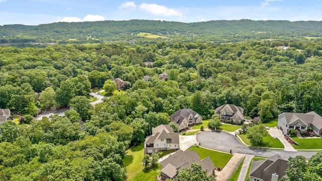 drone / aerial view of a forest and mountains