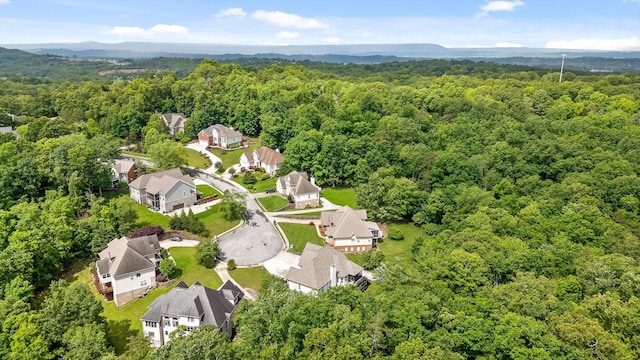 aerial perspective of suburban area featuring a forest