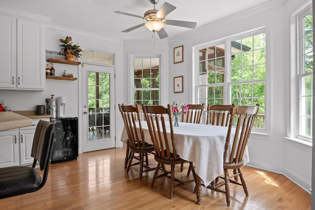 dining room with light wood finished floors, ornamental molding, and ceiling fan