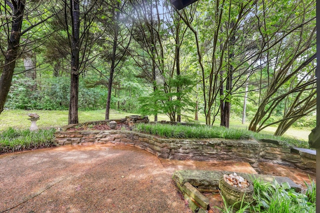 7470 Twin Brook Dr, Chattanooga, TN 37421 - view of yard