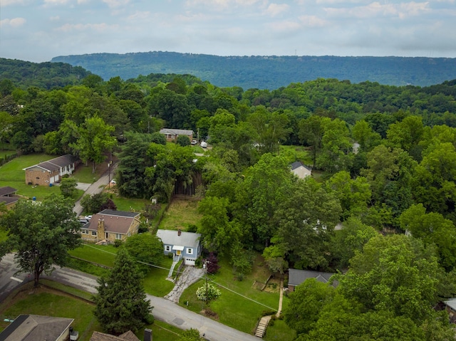 3517 Berkley Dr, Chattanooga, TN 37415 - photo 31
