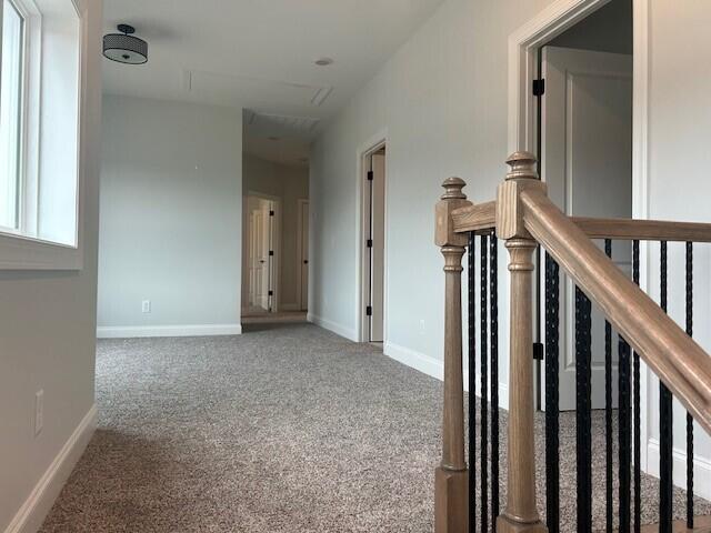 8860 Knolling Loop Unit 37, Ooltewah, TN 37363 - hall with carpet flooring and baseboards
