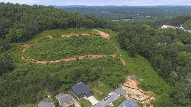0 Courtland Crest Dr SW, Cleveland, TN 37311 - photo 10