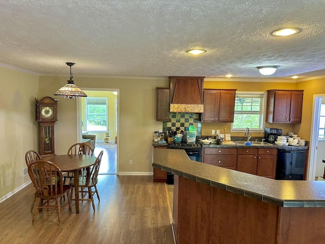 2218 Harvest Ln, Dandridge, TN 37725 - kitchen with custom range hood, a sink, dishwasher, a textured ceiling, and dark wood-style floors