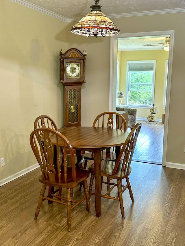 2218 Harvest Ln, Dandridge, TN 37725 - dining area with wood finished floors, baseboards, and a textured ceiling