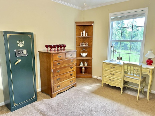 2218 Harvest Ln, Dandridge, TN 37725 - home office with ornamental molding, light colored carpet, and baseboards