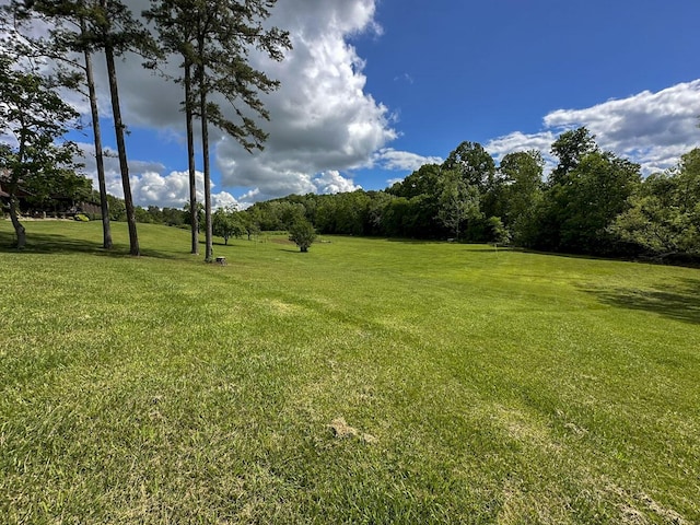 2218 Harvest Ln, Dandridge, TN 37725 - view of green lawn