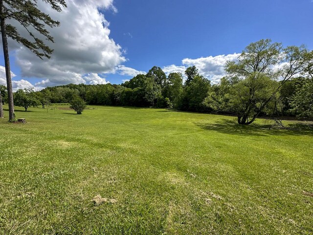 2218 Harvest Ln, Dandridge, TN 37725 - view of green lawn