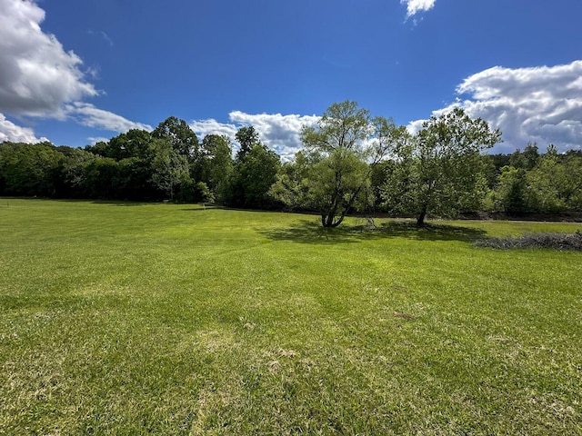 2218 Harvest Ln, Dandridge, TN 37725 - view of green lawn featuring a wooded view